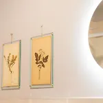 Regina Boutique Lejlighed Trieste